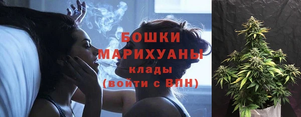 ГАЛЛЮЦИНОГЕННЫЕ ГРИБЫ Медвежьегорск