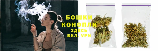 герыч Мегион