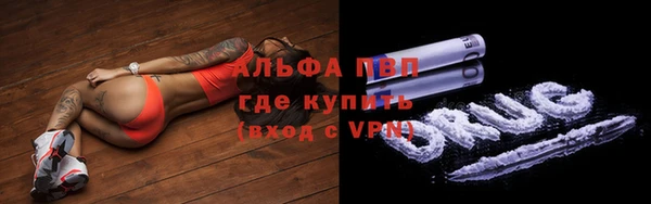 ГАЛЛЮЦИНОГЕННЫЕ ГРИБЫ Медвежьегорск