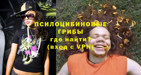 герыч Мегион